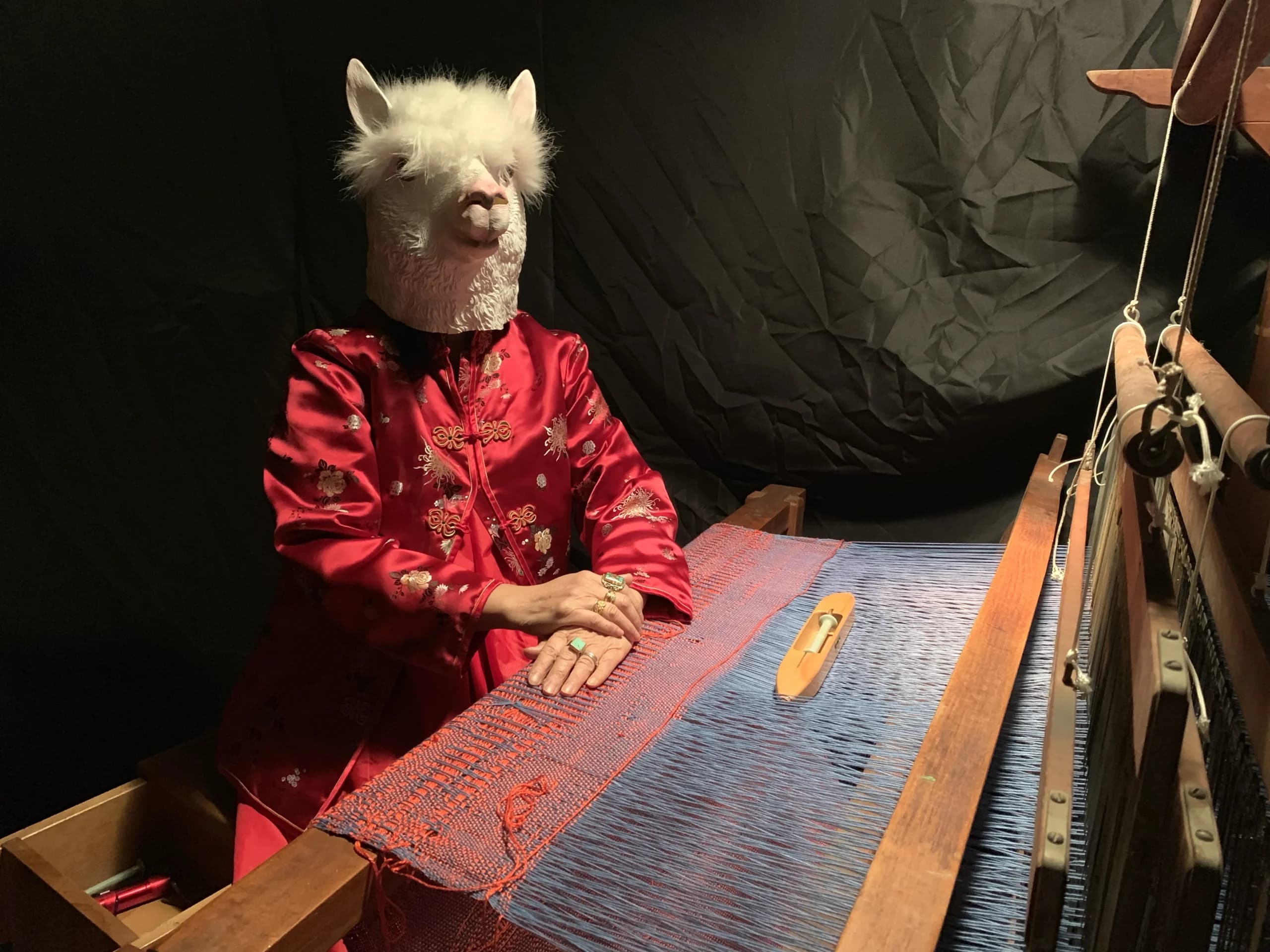 The Beautiful Llama in an embroidered silk robe weaving at a wooden floor loom