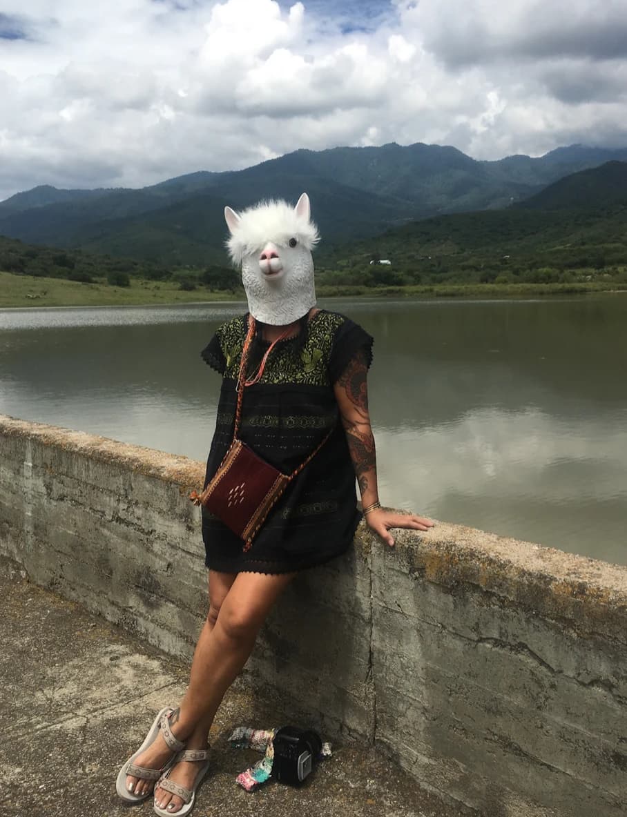The Beautiful Llama performing in public