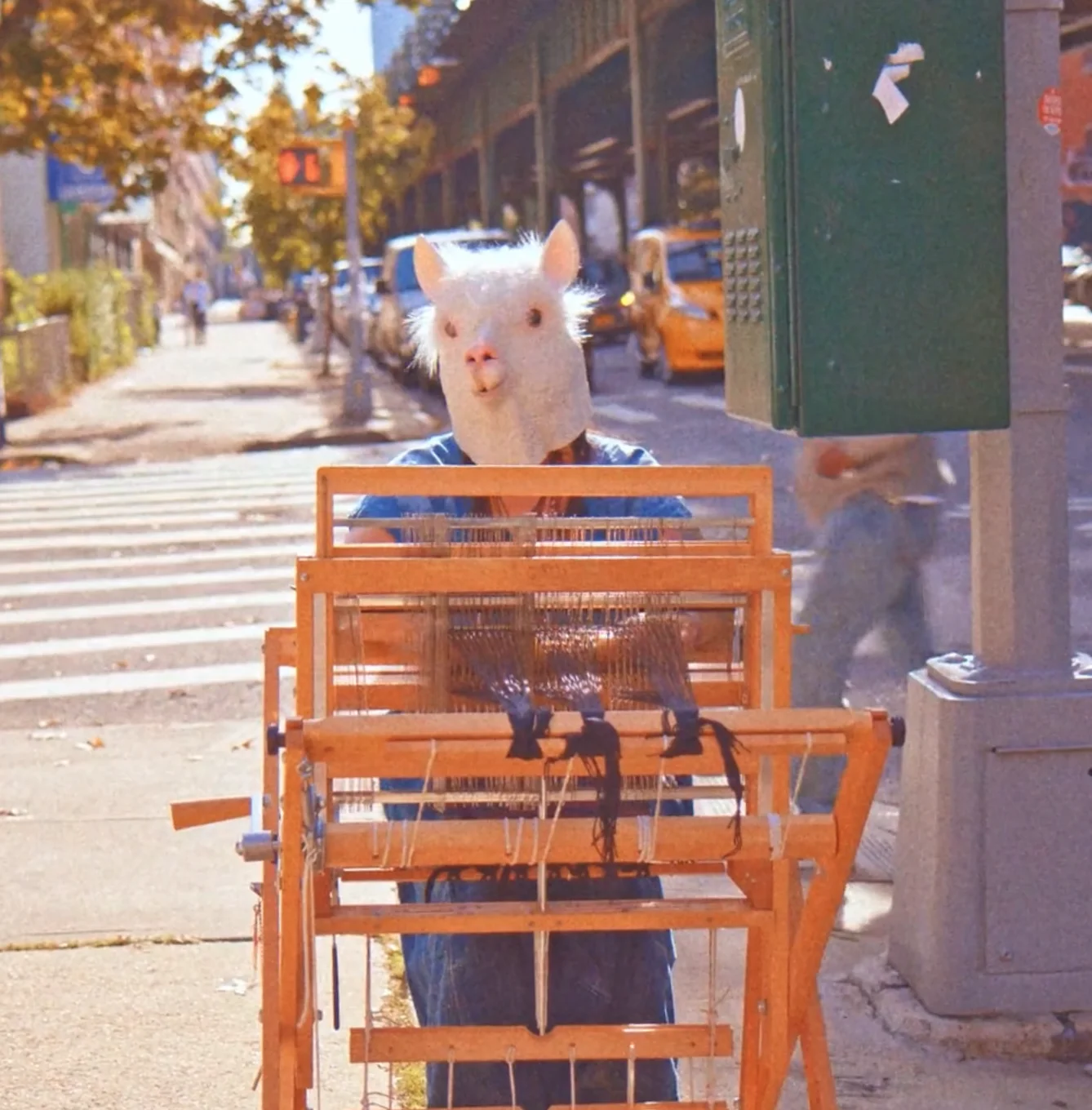 The Beautiful Llama with portable loom on a city street