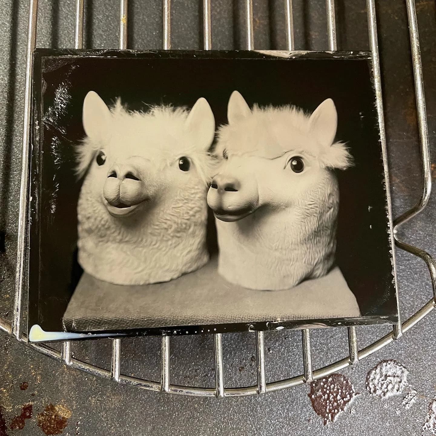 Tintype photograph, square format study