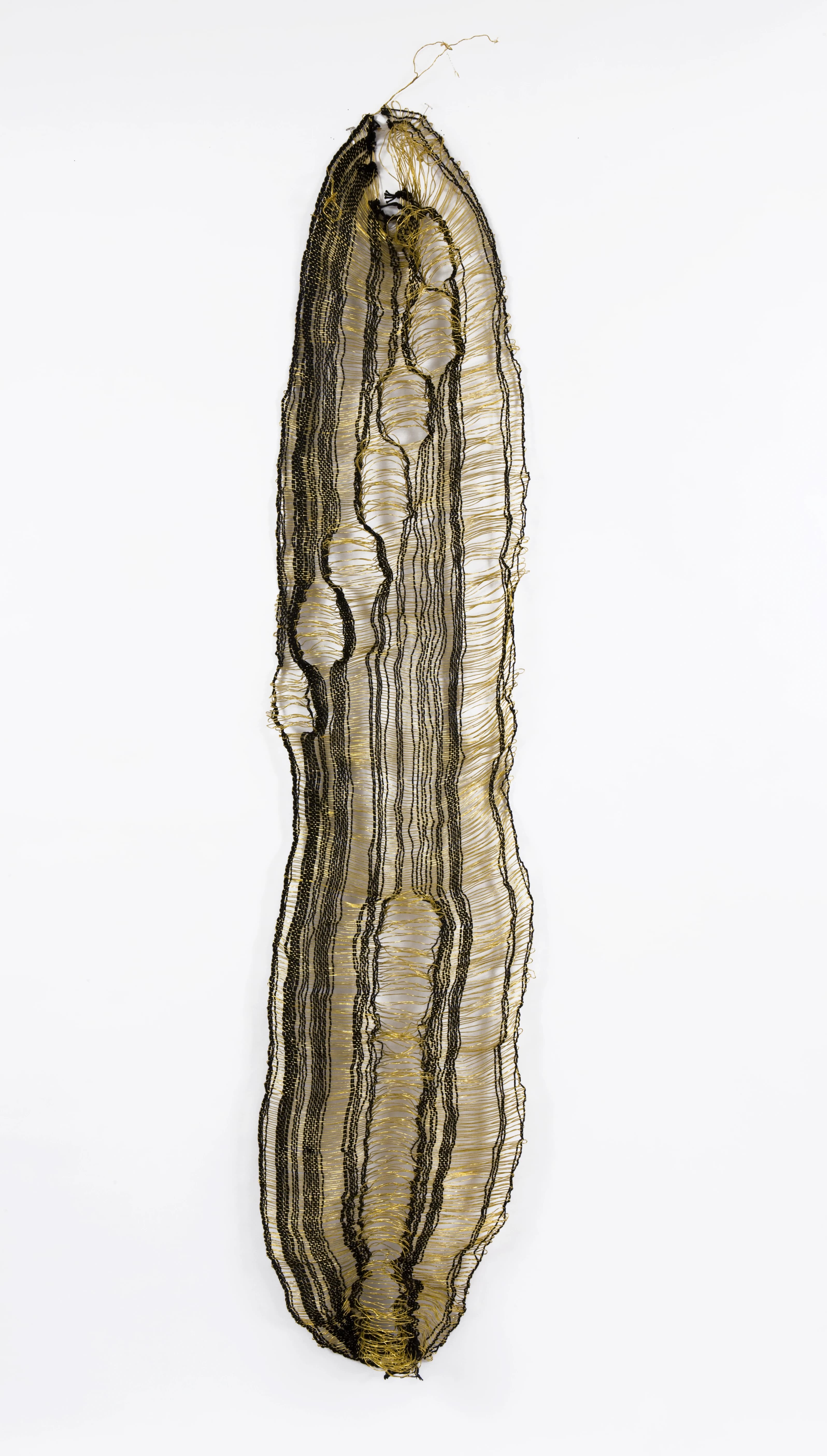 Wire sculpture with organic contours